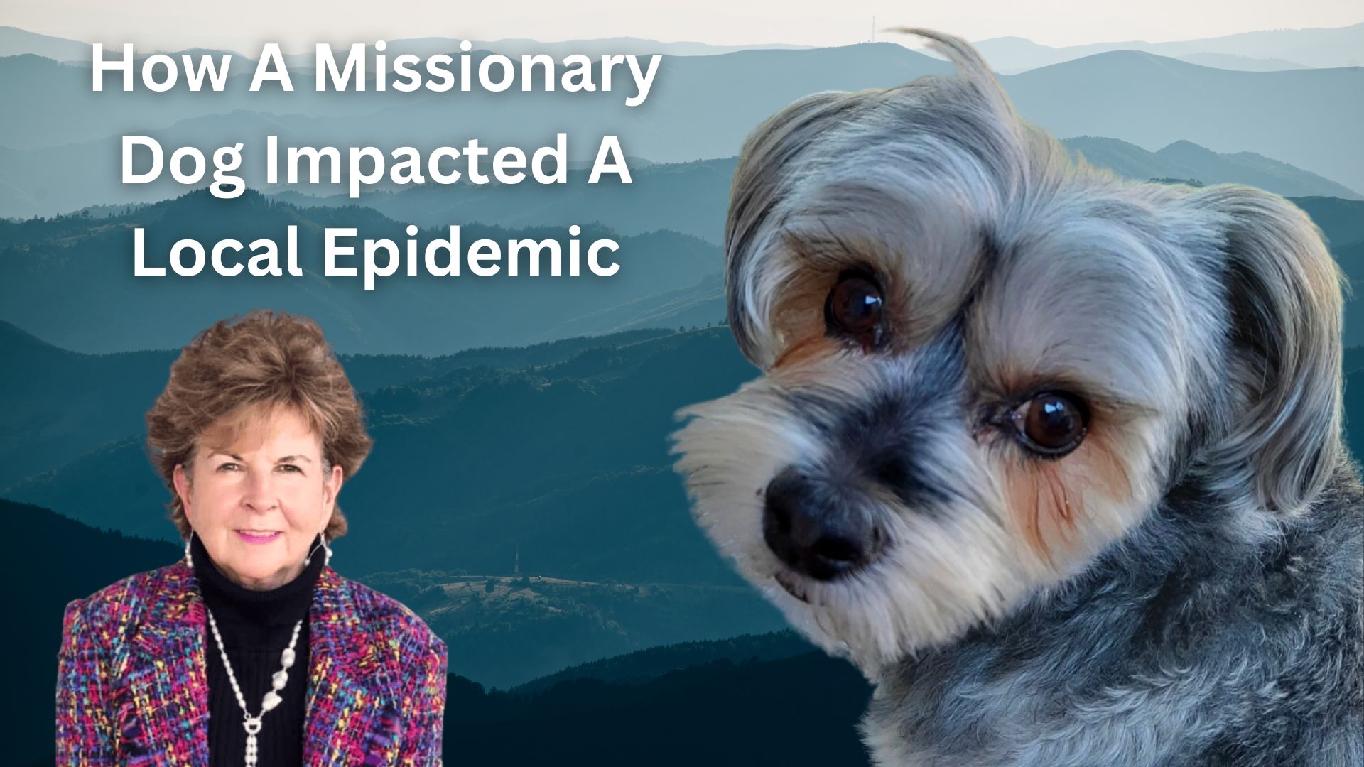 How A Missionary Dog Impacted A Local Epidemic